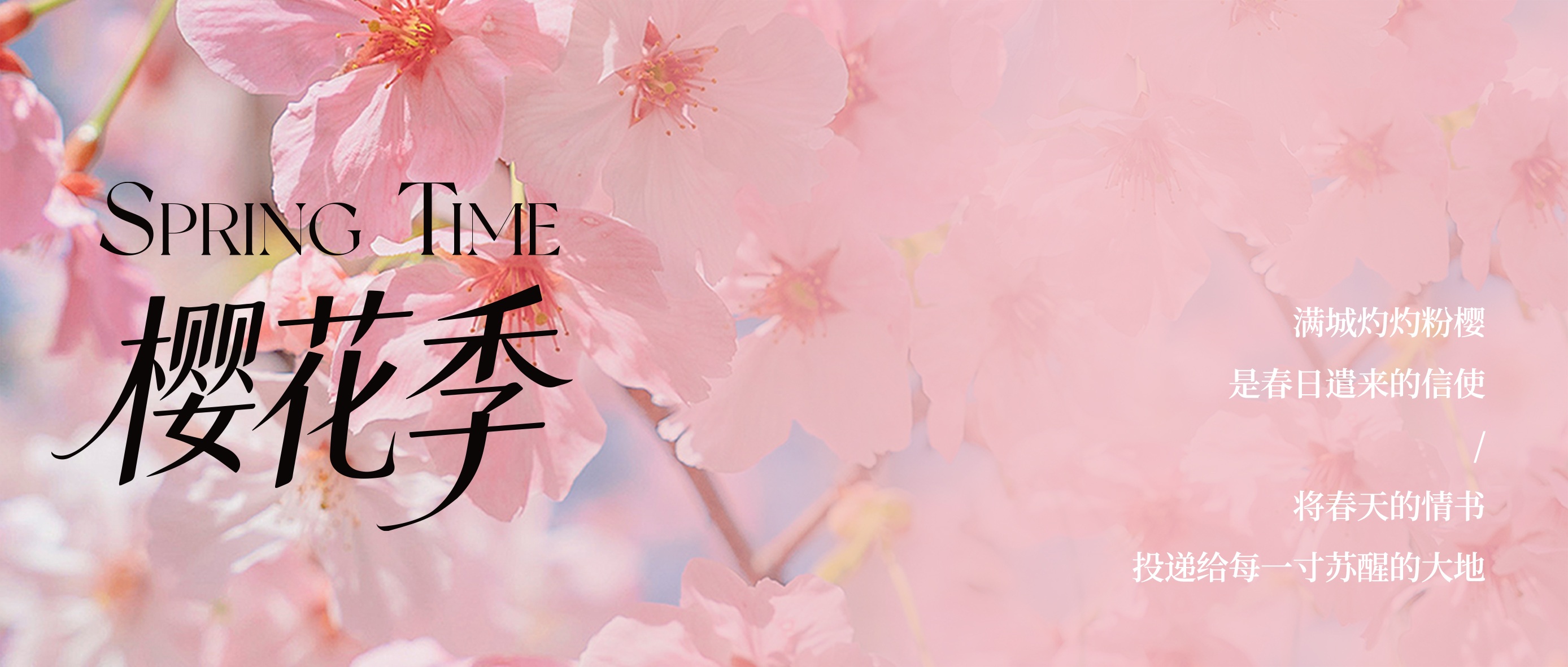 「三利音集团沪上赏樱餐厅指南」